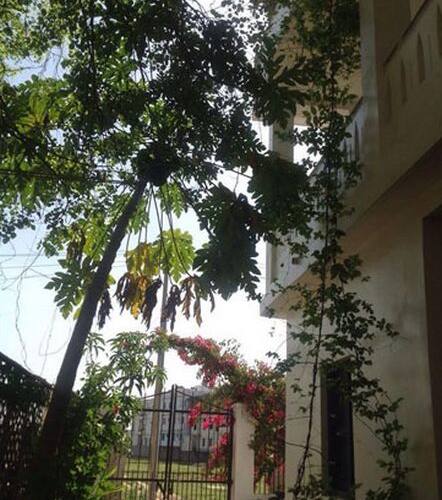 Shantidevi Ashrams Guest House, Gaya 2